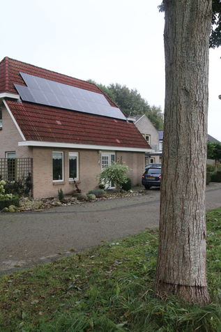 zonnepanelen op het dak en geringde boom in Meppel