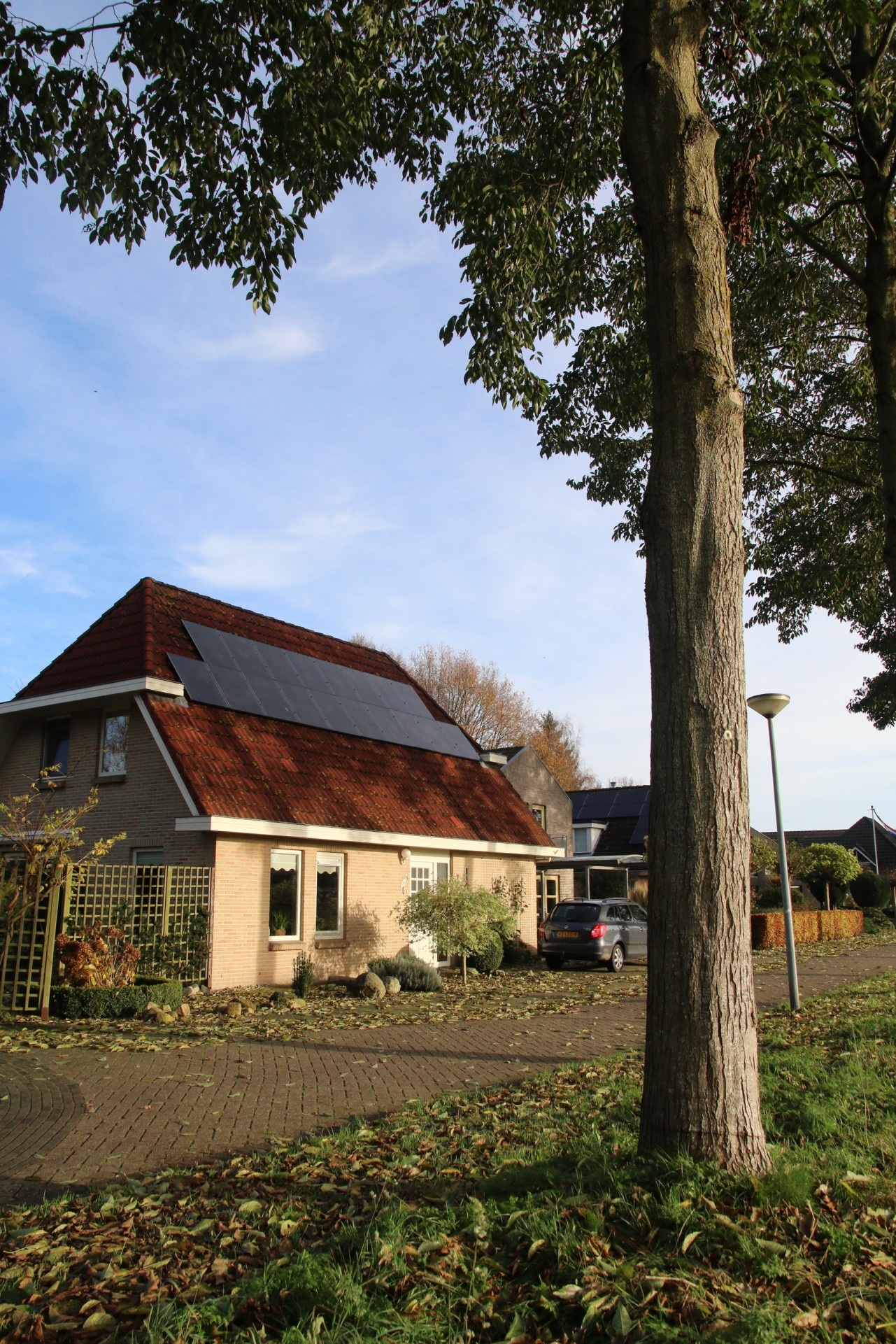 overzicht boom, zonnepanelen op dak en geringde boom