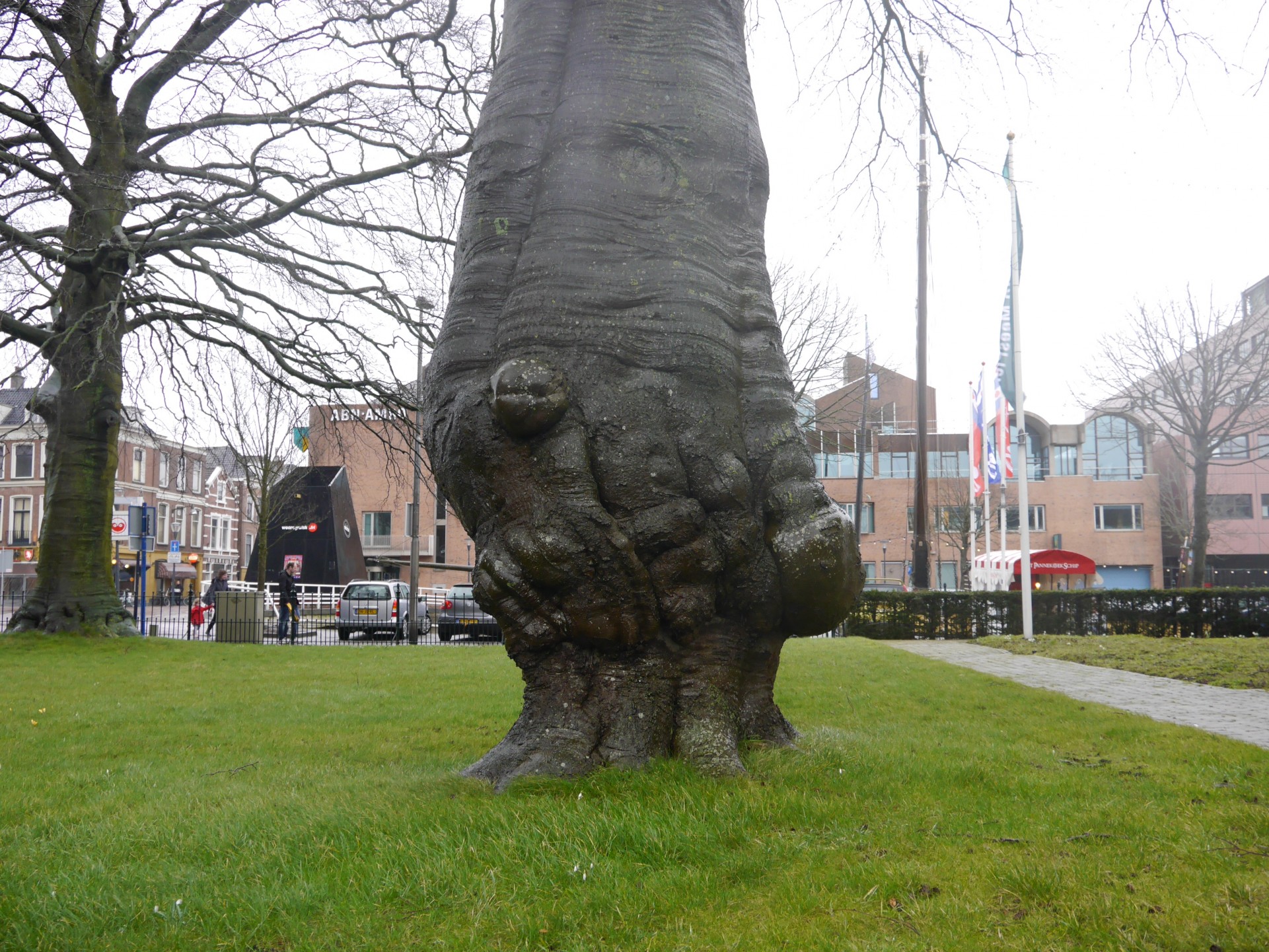 beuk Sophialaan Leeuwarden - ent?