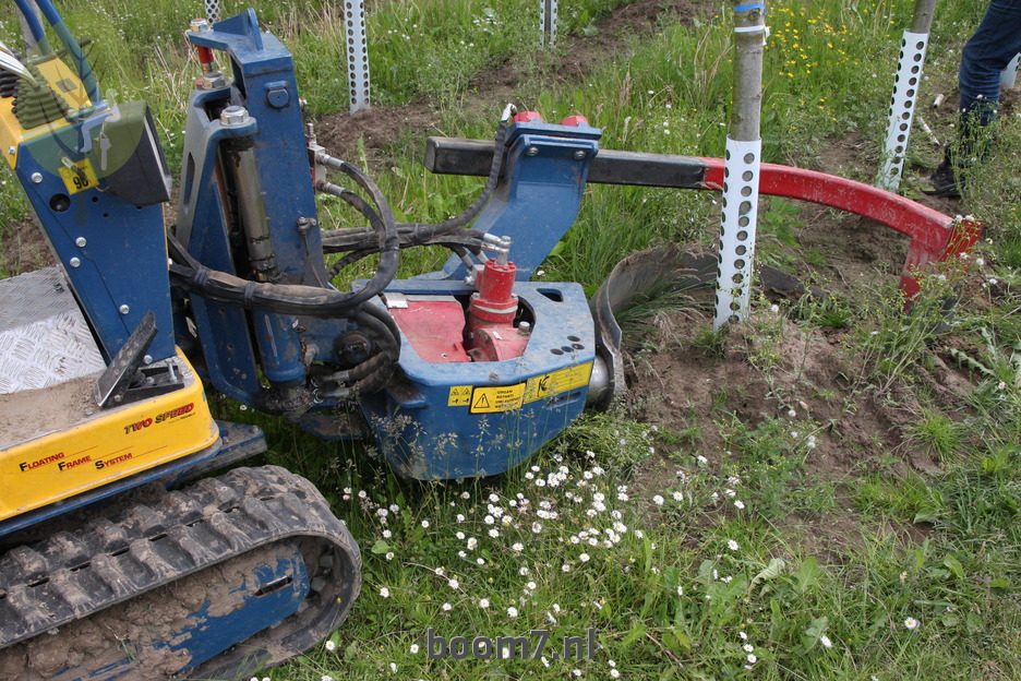 verplanten boom met constructie 1893