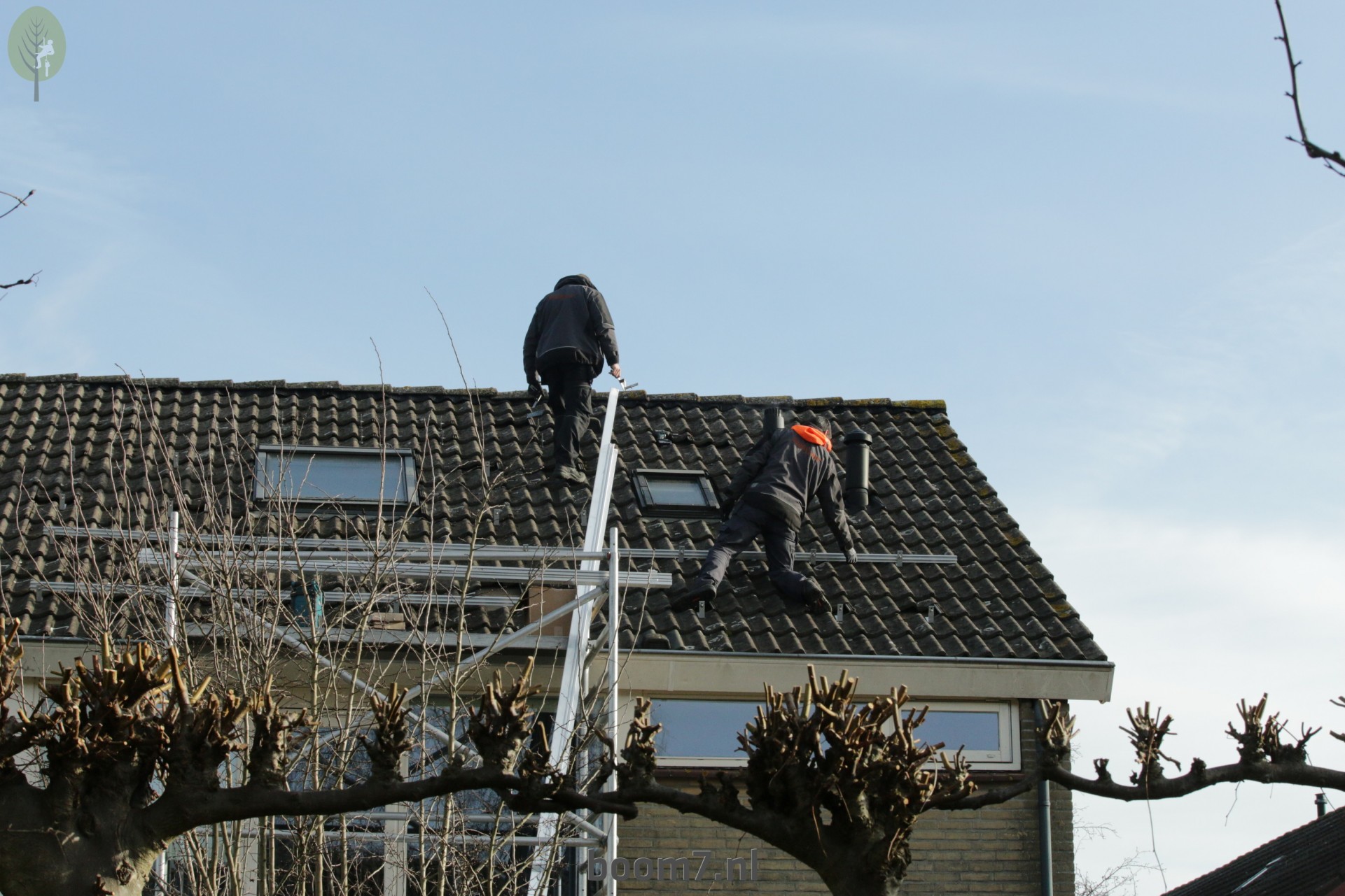 beunhaas op dak-zonnepanelen