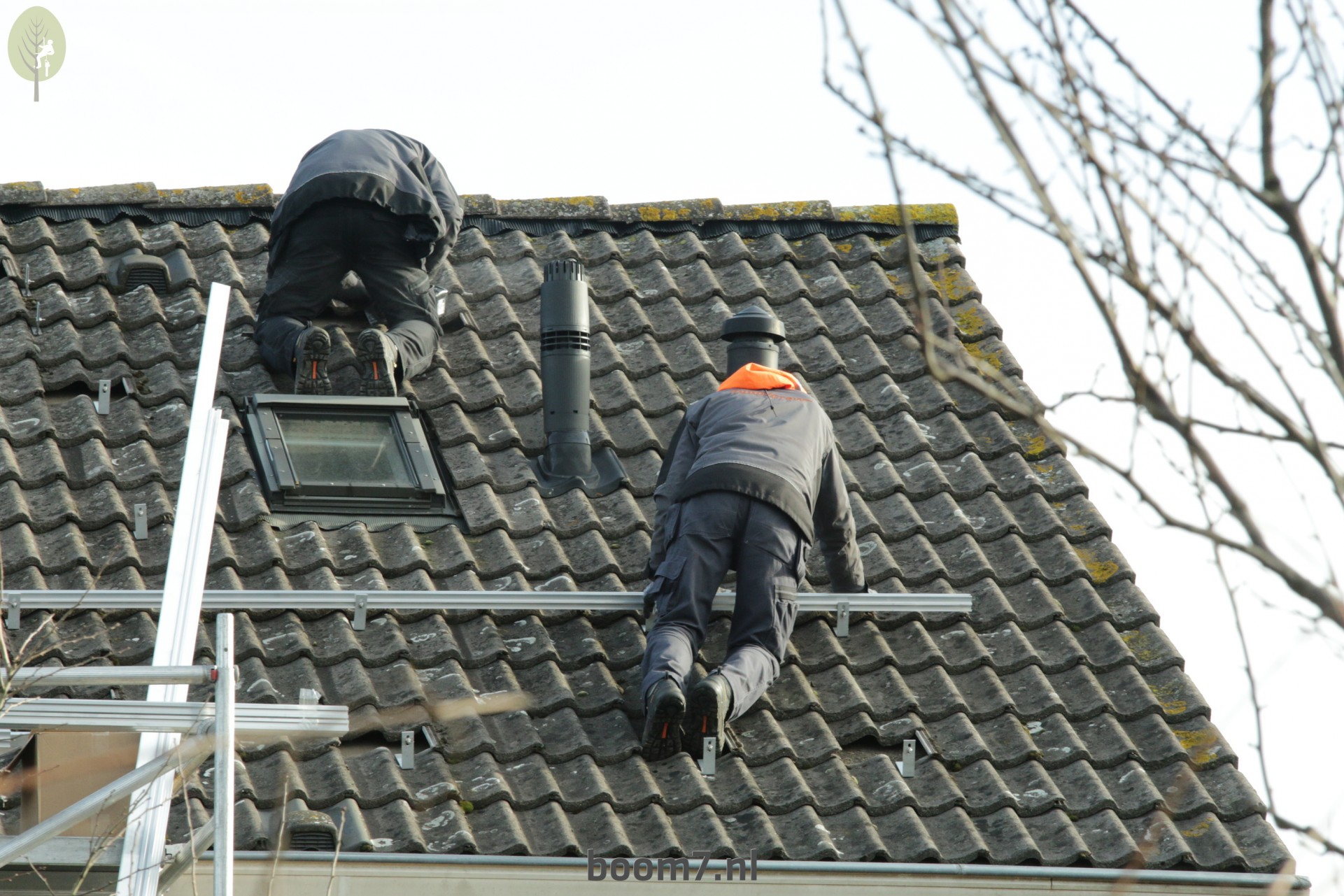 beunhaas op dak-zonnepanelen